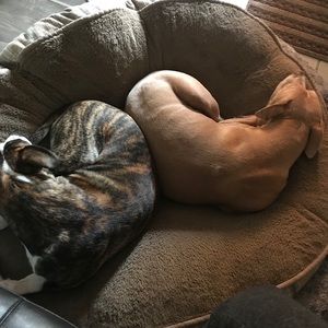 Meet your Posher, Mckenzie